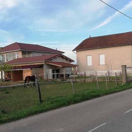 Maison De 100M2 Au Coeur D'Une Pension Equestre Les Sabots De Nina Marcollin Экстерьер фото